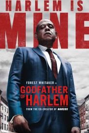 Godfather of Harlem - Season 1